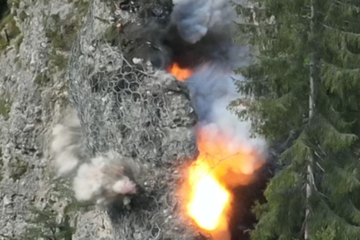 images purges et minages 4